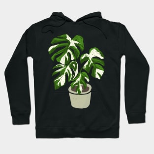 Monstera deliciosa variegated plant with fenestrations Hoodie